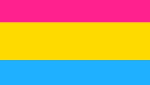 Am I A Pansexual Quiz & Test. Get Clarity Now.